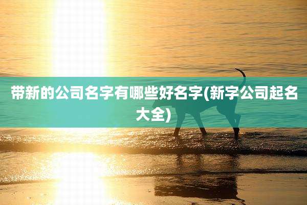 带新的公司名字有哪些好名字(新字公司起名大全)