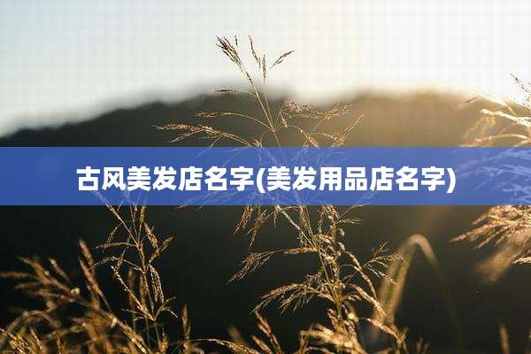 古风美发店名字(美发用品店名字)