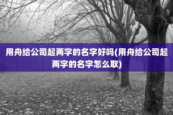 用舟给公司起两字的名字好吗(用舟给公司起两字的名字怎么取)