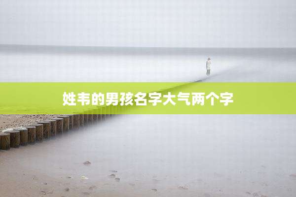 姓韦的男孩名字大气两个字