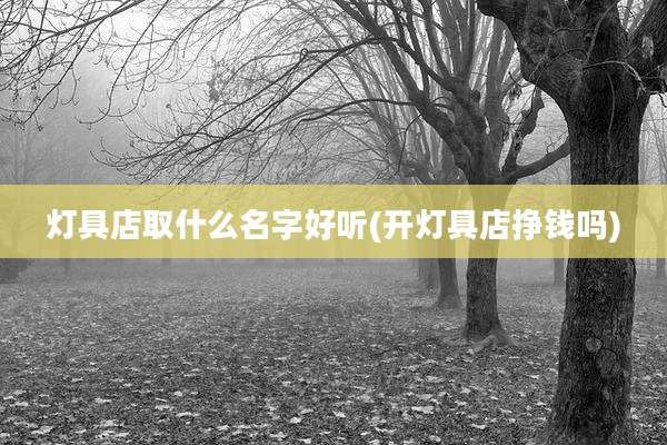 灯具店取什么名字好听(开灯具店挣钱吗)