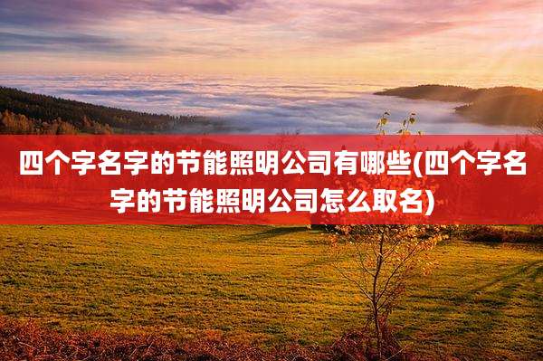 四个字名字的节能照明公司有哪些(四个字名字的节能照明公司怎么取名)