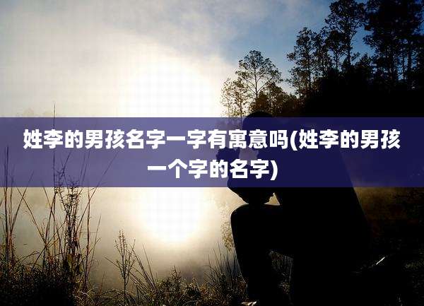姓李的男孩名字一字有寓意吗(姓李的男孩一个字的名字)