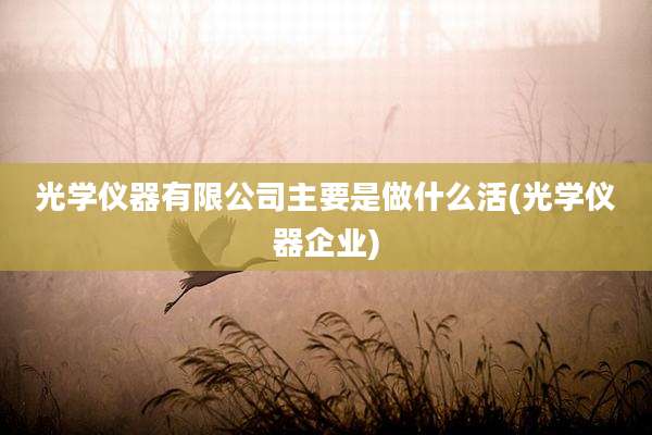光学仪器有限公司主要是做什么活(光学仪器企业)