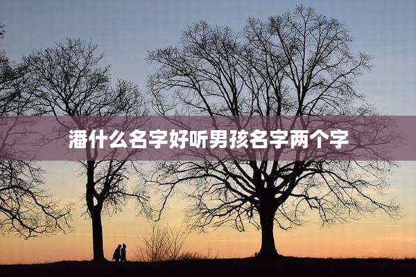 潘什么名字好听男孩名字两个字