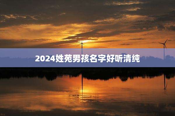 2024姓苑男孩名字好听清纯