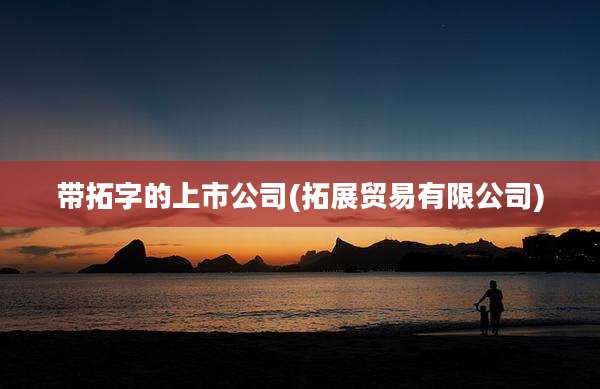 带拓字的上市公司(拓展贸易有限公司)