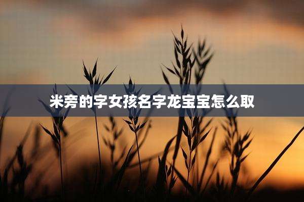 米旁的字女孩名字龙宝宝怎么取