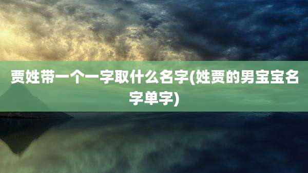 贾姓带一个一字取什么名字(姓贾的男宝宝名字单字)