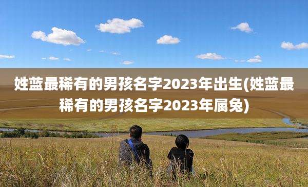 姓蓝最稀有的男孩名字2023年出生(姓蓝最稀有的男孩名字2023年属兔)