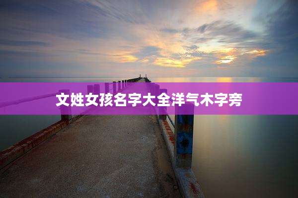 文姓女孩名字大全洋气木字旁