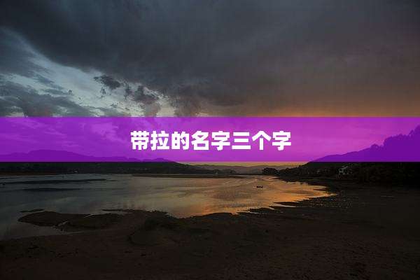 带拉的名字三个字
