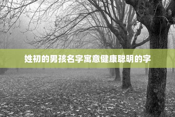 姓初的男孩名字寓意健康聪明的字