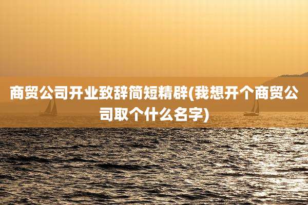 商贸公司开业致辞简短精辟(我想开个商贸公司取个什么名字)