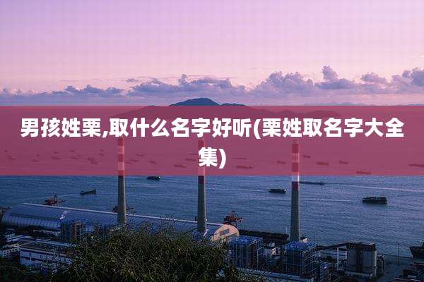 男孩姓栗,取什么名字好听(栗姓取名字大全集)