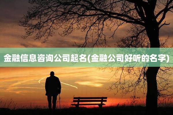金融信息咨询公司起名(金融公司好听的名字)