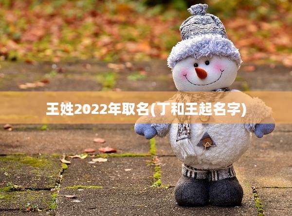 王姓2022年取名(丁和王起名字)