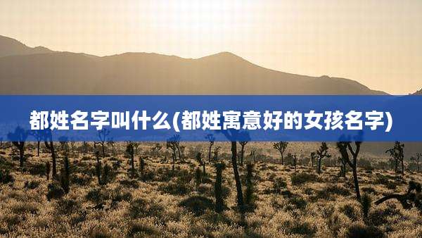 都姓名字叫什么(都姓寓意好的女孩名字)