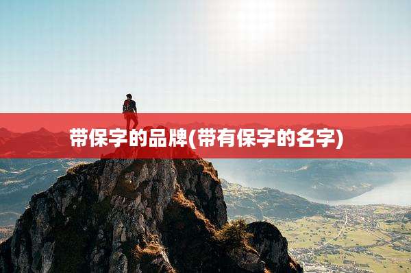 带保字的品牌(带有保字的名字)