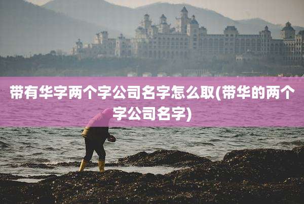 带有华字两个字公司名字怎么取(带华的两个字公司名字)
