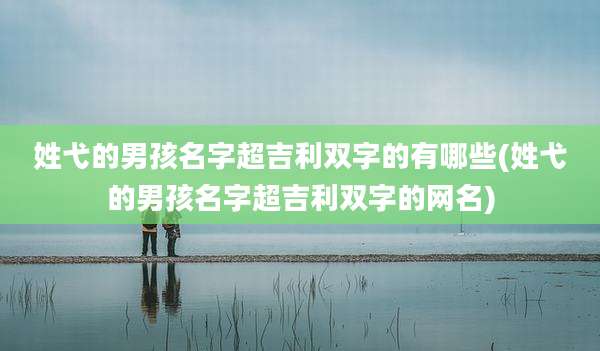 姓弋的男孩名字超吉利双字的有哪些(姓弋的男孩名字超吉利双字的网名)