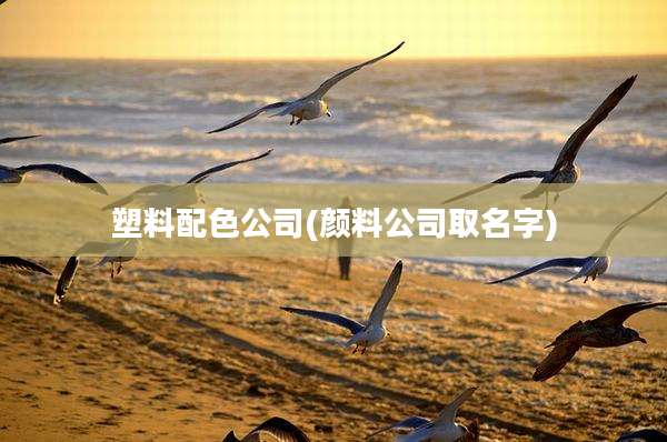 塑料配色公司(颜料公司取名字)