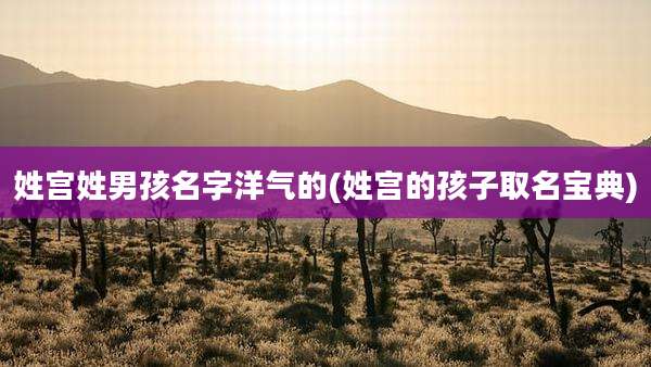姓宫姓男孩名字洋气的(姓宫的孩子取名宝典)
