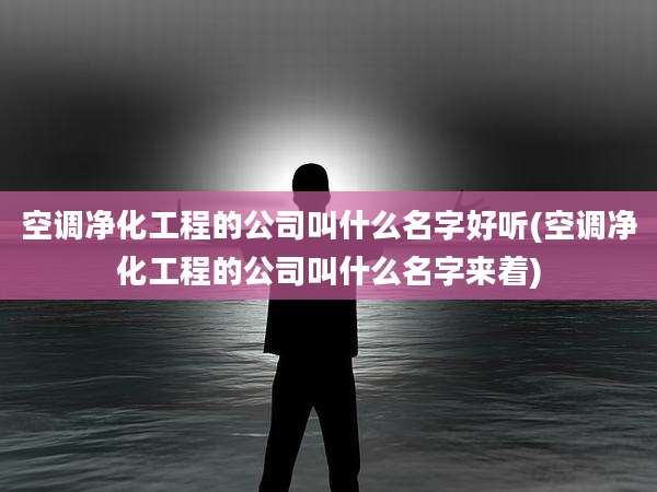 空调净化工程的公司叫什么名字好听(空调净化工程的公司叫什么名字来着)
