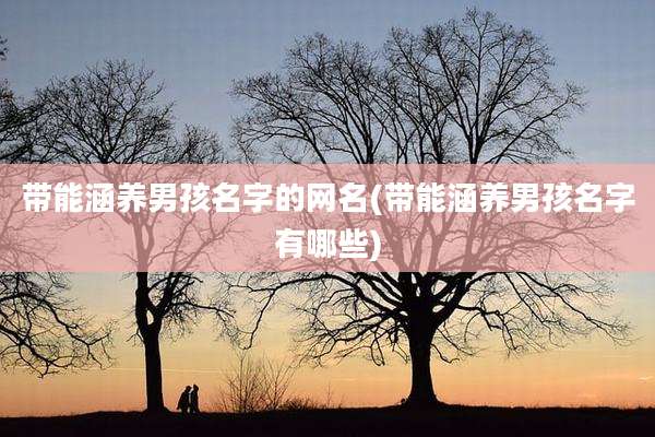 带能涵养男孩名字的网名(带能涵养男孩名字有哪些)