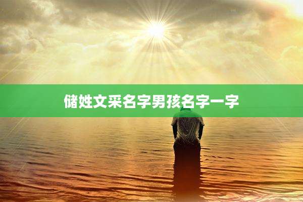 储姓文采名字男孩名字一字