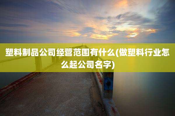 塑料制品公司经营范围有什么(做塑料行业怎么起公司名字)