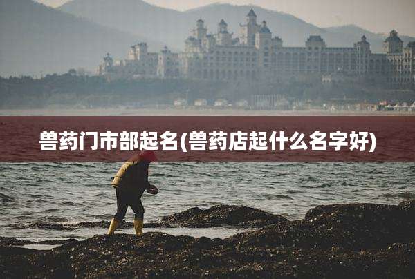 兽药门市部起名(兽药店起什么名字好)