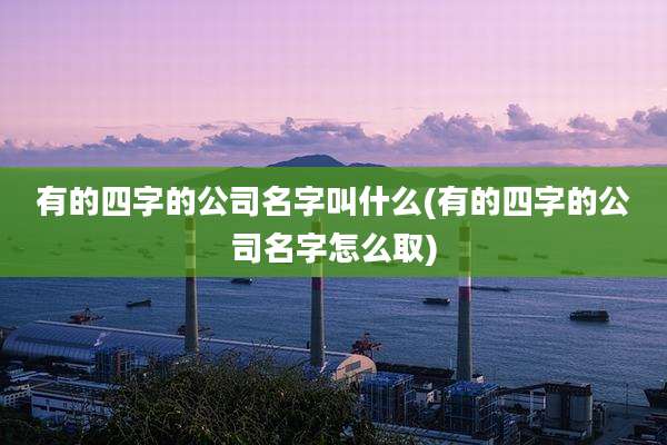 有的四字的公司名字叫什么(有的四字的公司名字怎么取)