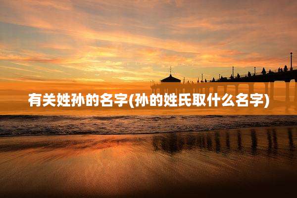 有关姓孙的名字(孙的姓氏取什么名字)