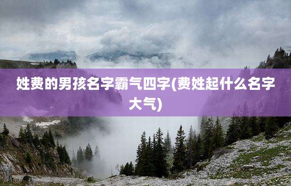 姓费的男孩名字霸气四字(费姓起什么名字大气)