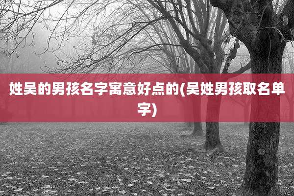 姓吴的男孩名字寓意好点的(吴姓男孩取名单字)