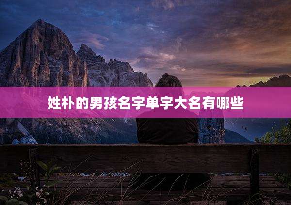 姓朴的男孩名字单字大名有哪些