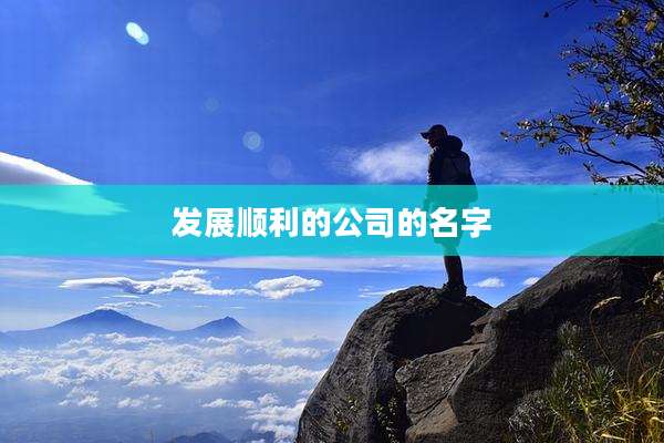 发展顺利的公司的名字