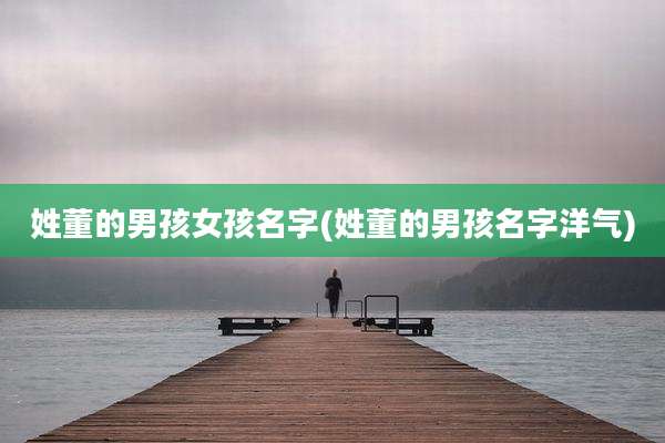 姓董的男孩女孩名字(姓董的男孩名字洋气)