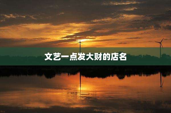 文艺一点发大财的店名
