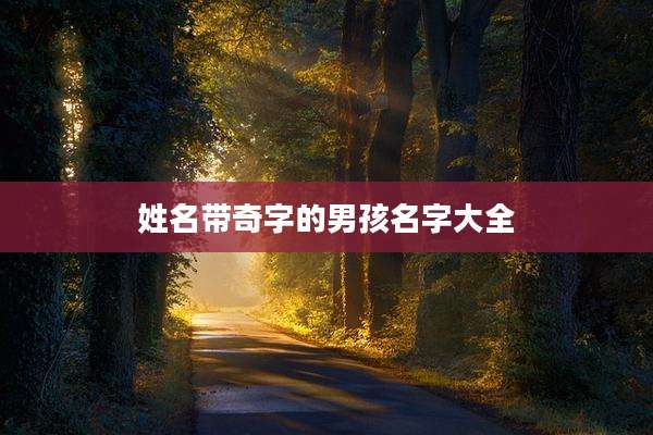姓名带奇字的男孩名字大全