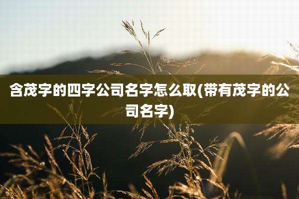 含茂字的四字公司名字怎么取(带有茂字的公司名字)