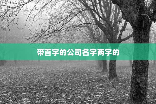 带首字的公司名字两字的