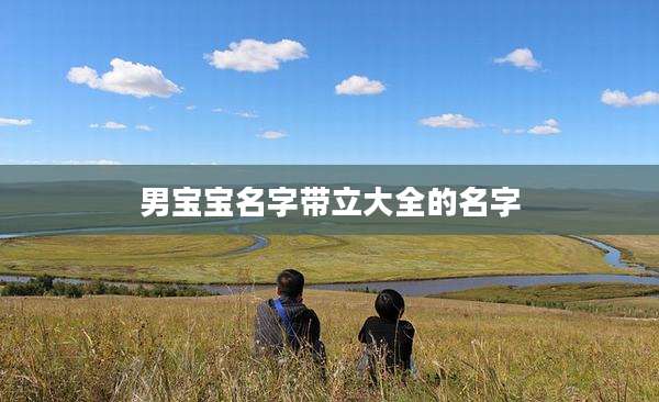 男宝宝名字带立大全的名字
