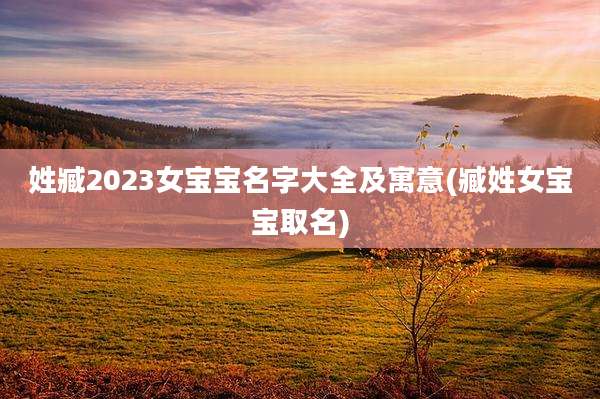 姓臧2023女宝宝名字大全及寓意(臧姓女宝宝取名)