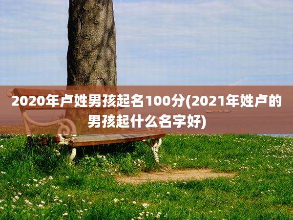 2020年卢姓男孩起名100分(2021年姓卢的男孩起什么名字好)