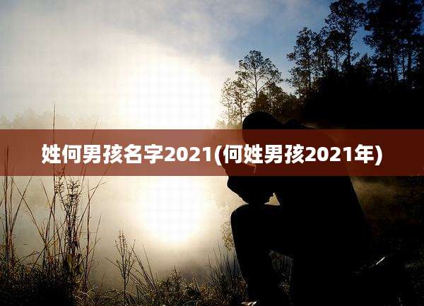 姓何男孩名字2021(何姓男孩2021年)