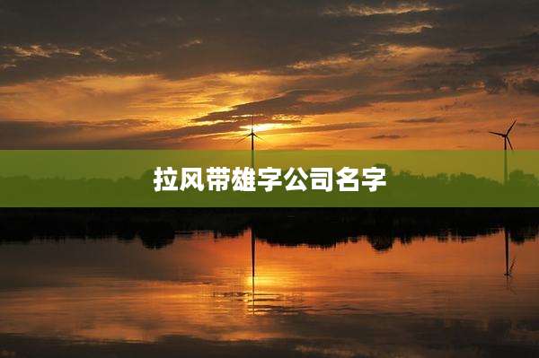 拉风带雄字公司名字