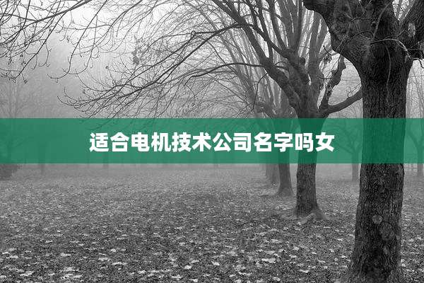 适合电机技术公司名字吗女
