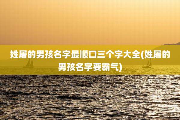 姓屠的男孩名字最顺口三个字大全(姓屠的男孩名字要霸气)